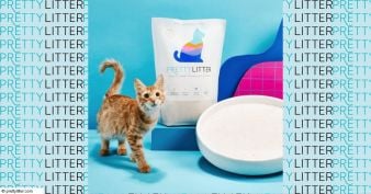 PrettyLitter® - Adoption Fee Reimbursement Sweepstakes