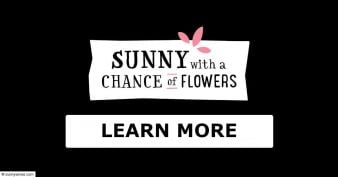 Sunny Wines - Pawsitivity Sweepstakes