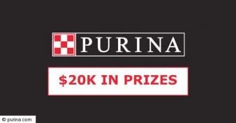 Nestlé Purina Beggin' Promotion