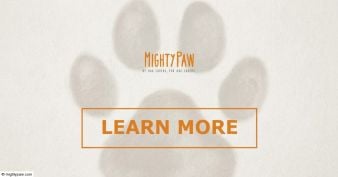 Mighty Paw - Walmart Giveaway