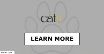 Catit - My Cat Giveaway 