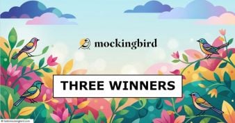 Mockingbird and Caitlin Wilder's Stroller Giveaway