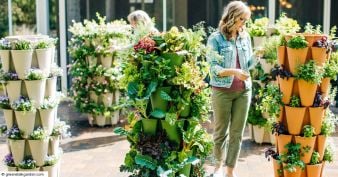 GreenStalk Vertical Planter - Mary's Nest Giveaway