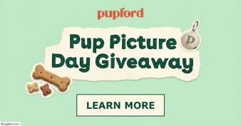 Pupford - PUP PICTURE Giveaway