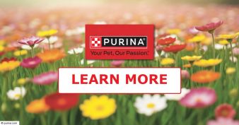 Nestlé Purina - Petfinder + Tractor Supply Sweepstakes