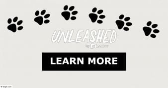 DOGTV - Monthly Giveaway