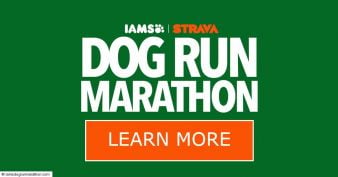 IAMS - STRAVA Dog Run Marathon Sweepstakes
