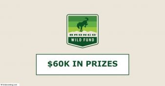 Ford Bronco® - Wild Fund Sweepstakes