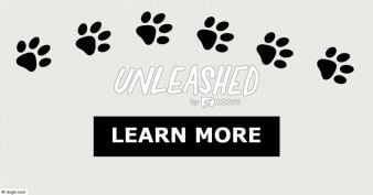 DOGTV - Ultimate October Paw-ty Bundle Giveaway