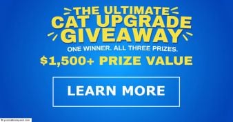 Travel Cat - Ultimate Cat Upgrade Giveaway