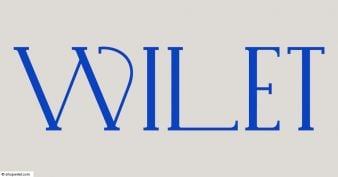 Wilet - $1K Giveaway