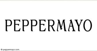 Peppermayo - Van Cleef Necklace Giveaway